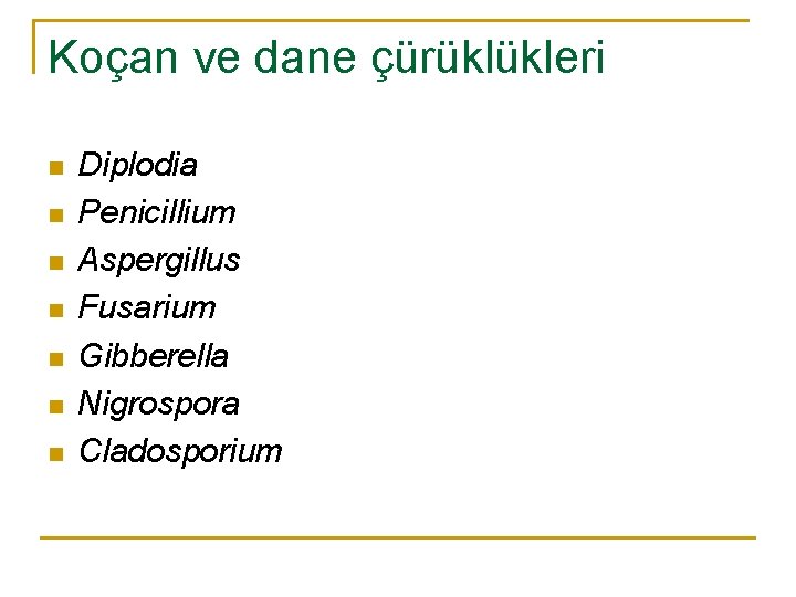 Koçan ve dane çürüklükleri n n n n Diplodia Penicillium Aspergillus Fusarium Gibberella Nigrospora