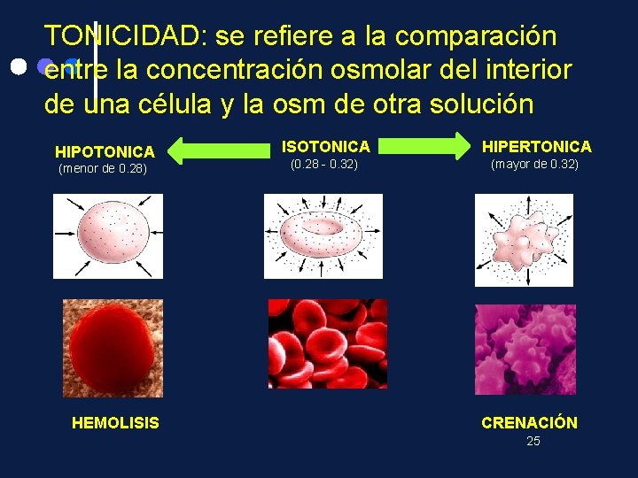 TONICIDAD: se refiere a la comparación entre la concentración osmolar del interior de una