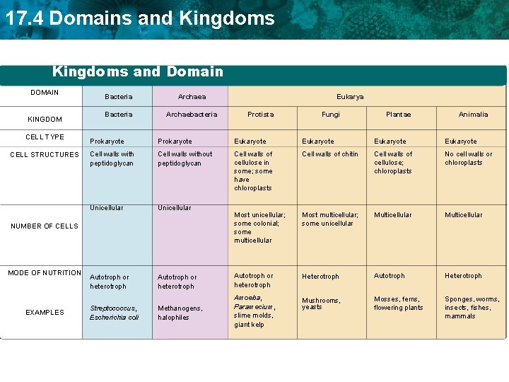 17. 4 Domains and Kingdoms Section 18 -3 Figure 18 -12 Key Characteristics of