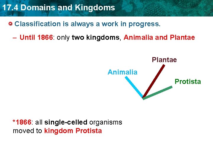 17. 4 Domains and Kingdoms Classification is always a work in progress. – Until