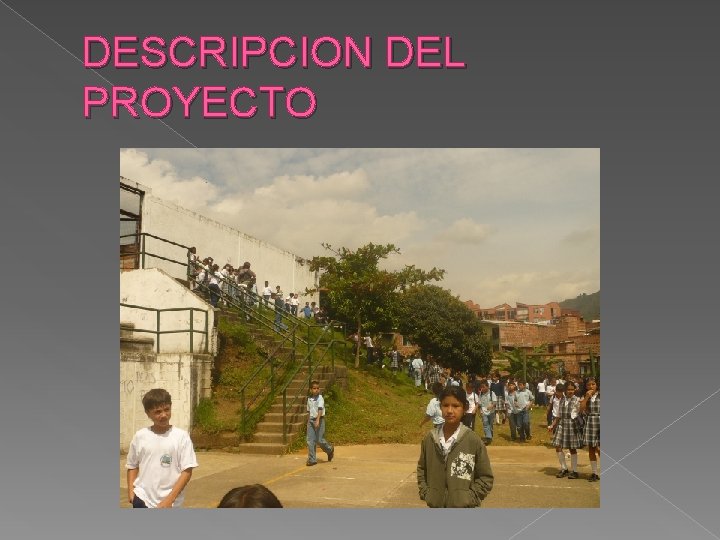 DESCRIPCION DEL PROYECTO 