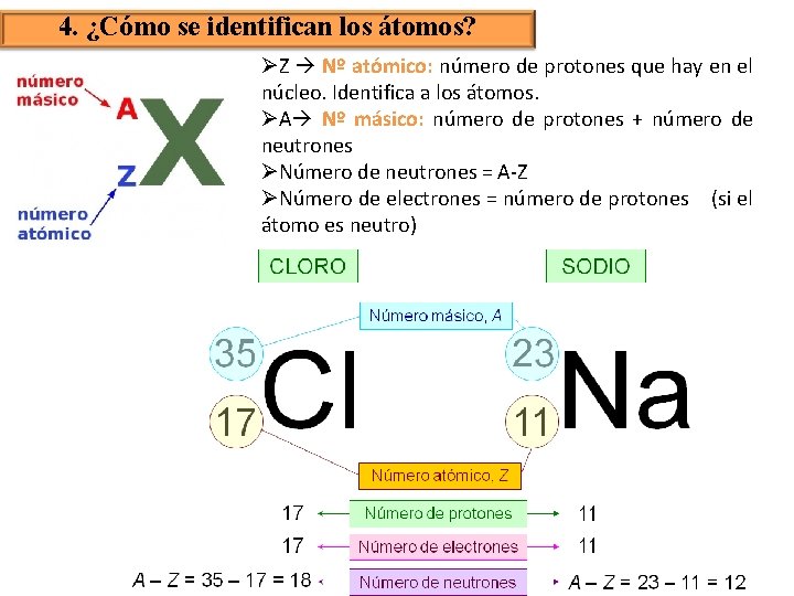 4. ¿Cómo se identifican los átomos? ØZ Nº atómico: número de protones que hay