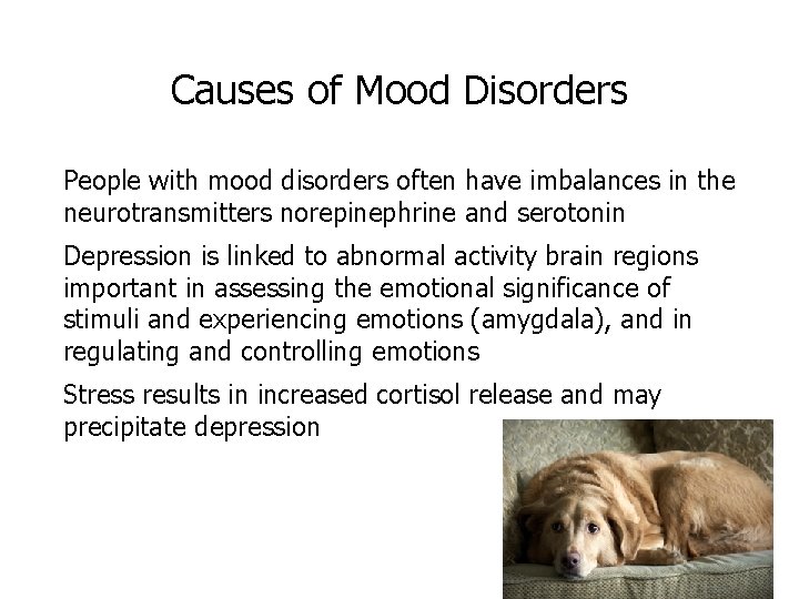 Causes of Mood Disorders People with mood disorders often have imbalances in the neurotransmitters