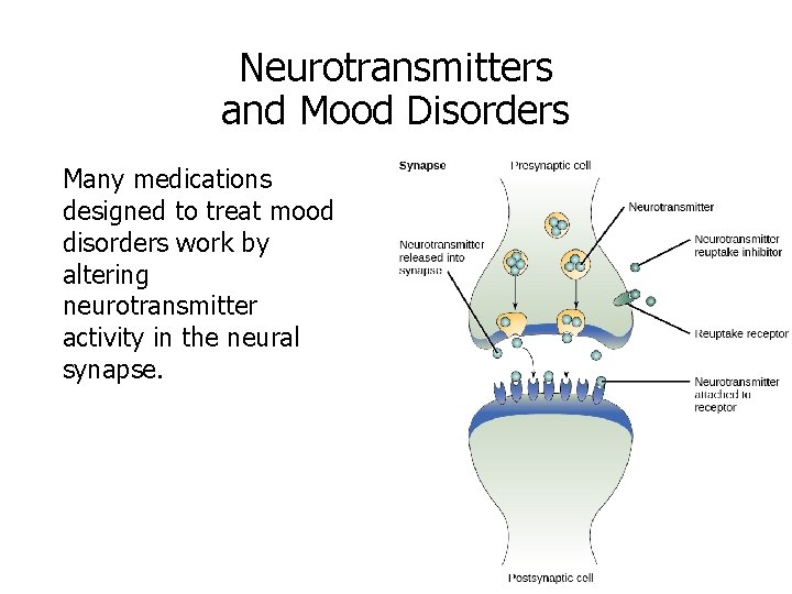 Neurotransmitters and Mood Disorders Many medications designed to treat mood disorders work by altering