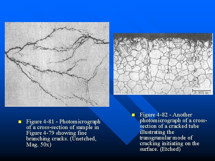 n n Figure 4 -81 - Photomicrograph of a cross-section of sample in Figure