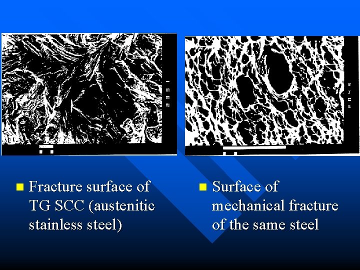 n Fracture surface of TG SCC (austenitic stainless steel) n Surface of mechanical fracture