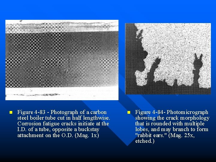 n Figure 4 -83 - Photograph of a carbon steel boiler tube cut in