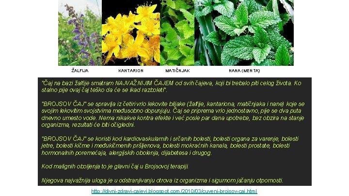ŽALFIJA KANTARION MATIČNJAK NANA (MENTA) "Čaj na bazi žalfije smatram NAJVAŽNIJIM ČAJEM od svih ŽALFIJA KANTARION MATIČNJAK NANA (MENTA) "Čaj na bazi žalfije smatram NAJVAŽNIJIM ČAJEM od svih