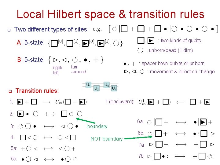 Local Hilbert space & transition rules q Two different types of sites: : two