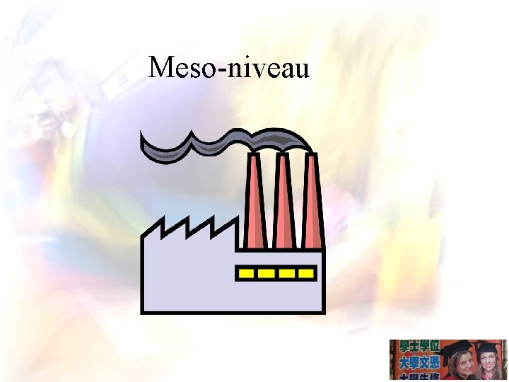 Meso-niveau 