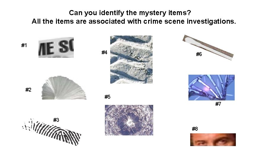 Can you identify the mystery items? All the items are associated with crime scene