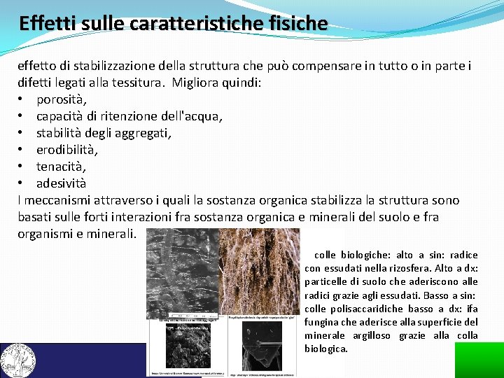 Effetti sulle caratteristiche fisiche effetto di stabilizzazione della struttura che può compensare in tutto