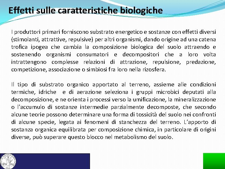 Effetti sulle caratteristiche biologiche I produttori primari forniscono substrato energetico e sostanze con effetti