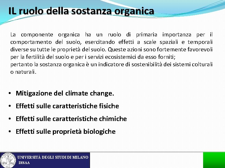 IL ruolo della sostanza organica La componente organica ha un ruolo di primaria importanza