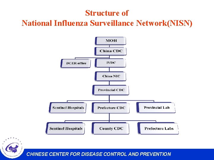 Structure of National Influenza Surveillance Network(NISN) CHINESE CENTER FOR DISEASE CONTROL AND PREVENTION 