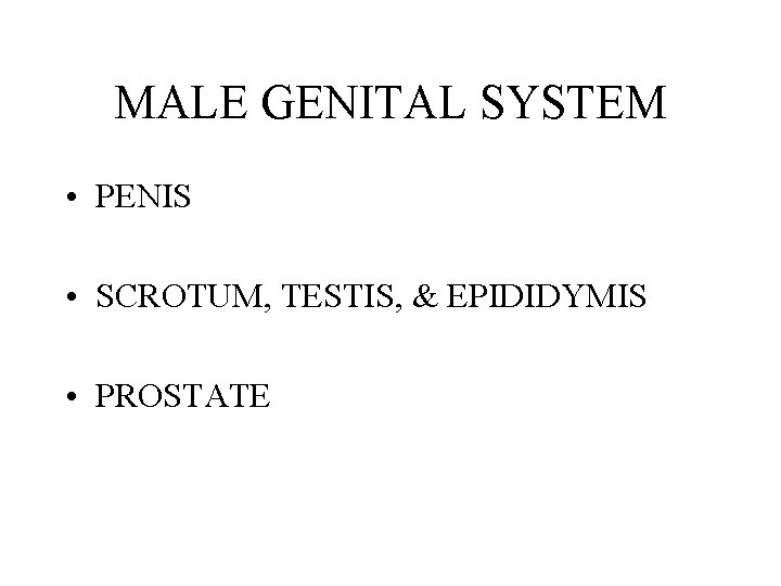 MALE GENITAL SYSTEM • PENIS • SCROTUM, TESTIS, & EPIDIDYMIS • PROSTATE 