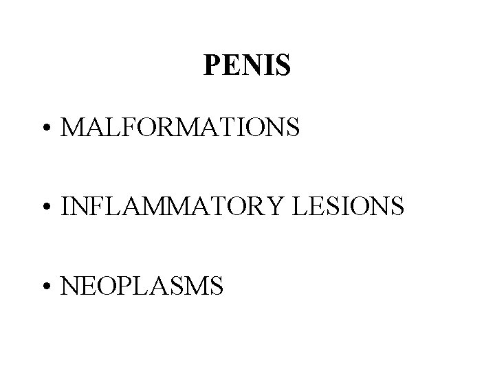 PENIS • MALFORMATIONS • INFLAMMATORY LESIONS • NEOPLASMS 