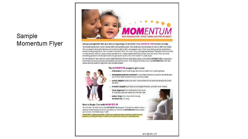 Sample Momentum Flyer 