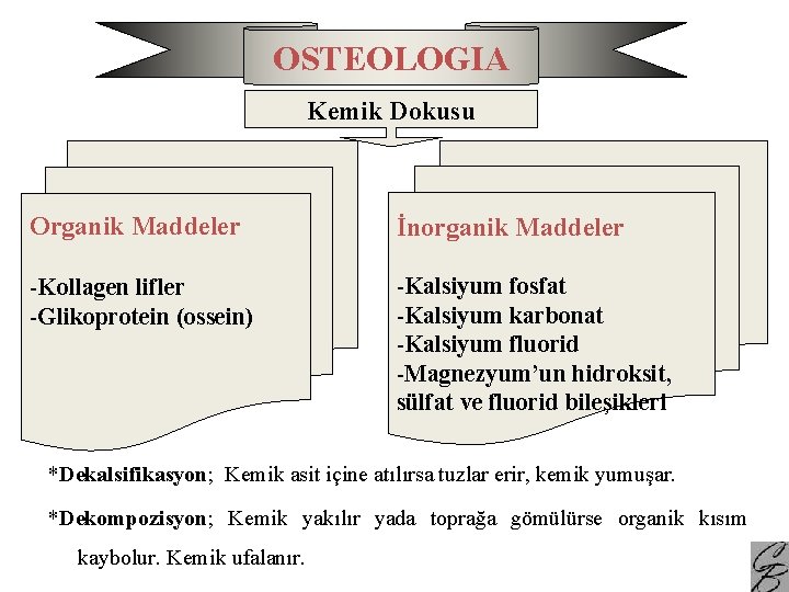 OSTEOLOGIA Kemik Dokusu Organik Maddeler İnorganik Maddeler -Kollagen lifler -Glikoprotein (ossein) -Kalsiyum fosfat -Kalsiyum