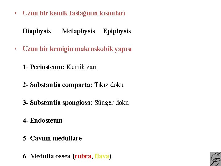  • Uzun bir kemik taslağının kısımları Diaphysis Metaphysis Epiphysis • Uzun bir kemiğin