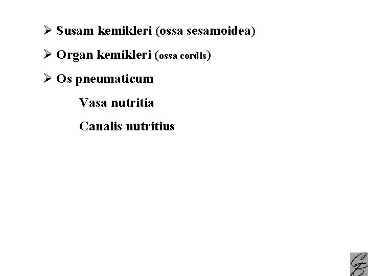 Ø Susam kemikleri (ossa sesamoidea) Ø Organ kemikleri (ossa cordis) Ø Os pneumaticum Vasa