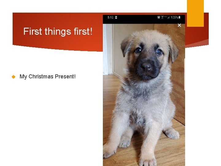 First things first! My Christmas Present! First things first! My Christmas Present!