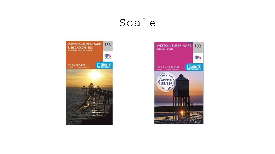 Scale 