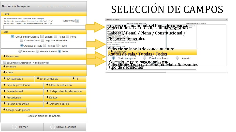 SELECCIÓN DE CAMPOS Ingrese manualmente el tema de consulta. Seleccione la sala : Civil,