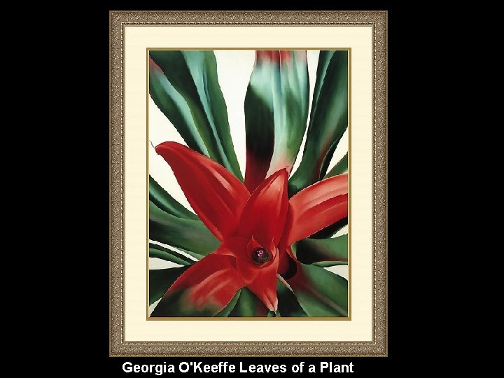 Georgia O'Keeffe Leaves of a Plant 