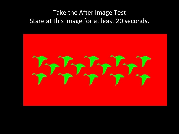 Take the After Image Test Stare at this image for at least 20 seconds.