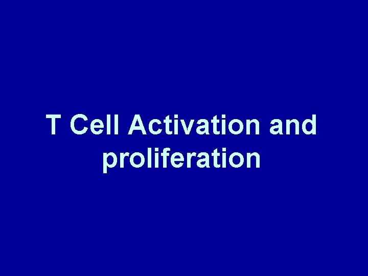 T Cell Activation and proliferation 