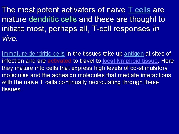 The most potent activators of naive T cells are mature dendritic cells and these