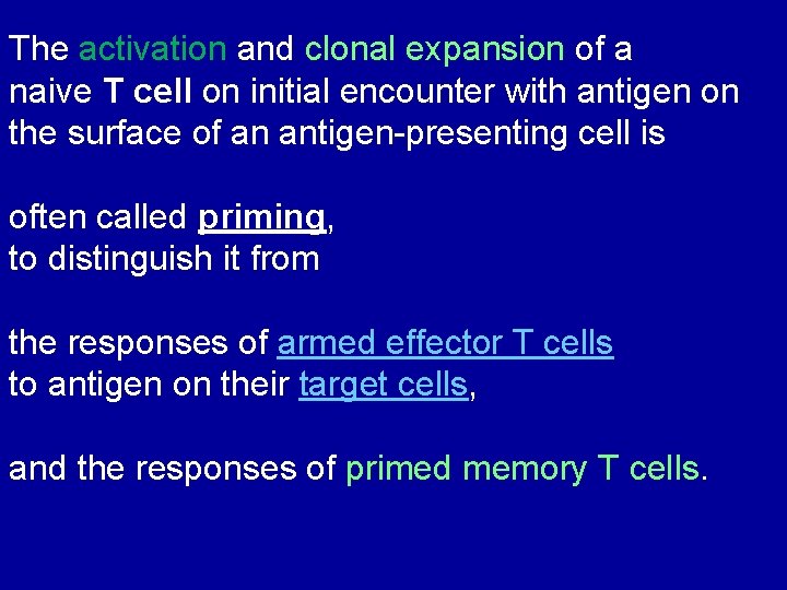 The activation and clonal expansion of a naive T cell on initial encounter with