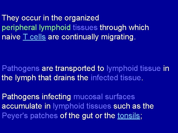 They occur in the organized peripheral lymphoid tissues through which naive T cells are