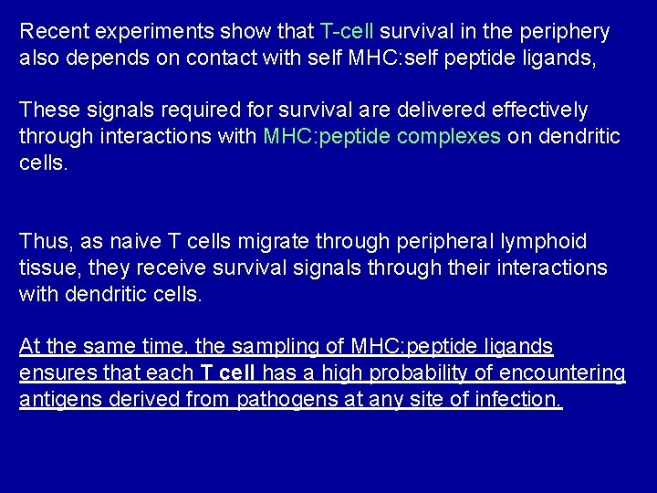 Recent experiments show that T-cell survival in the periphery also depends on contact with