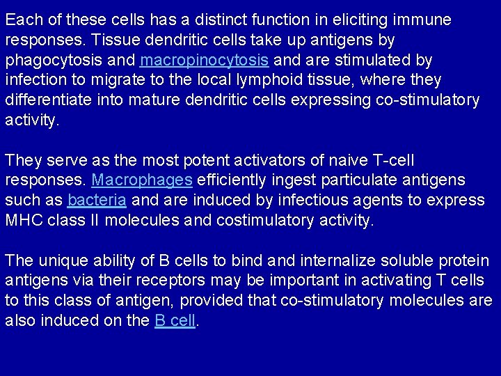 Each of these cells has a distinct function in eliciting immune responses. Tissue dendritic