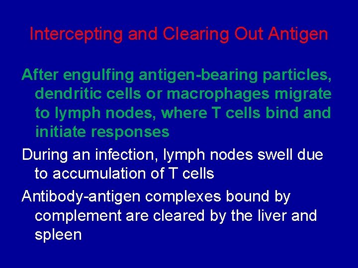 Intercepting and Clearing Out Antigen After engulfing antigen-bearing particles, dendritic cells or macrophages migrate