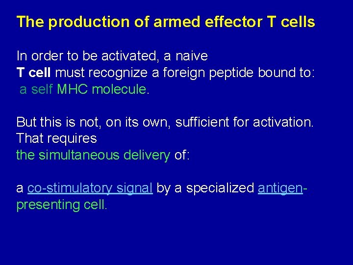 The production of armed effector T cells In order to be activated, a naive