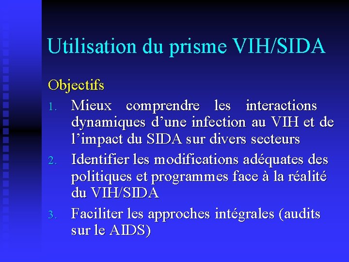 Utilisation du prisme VIH/SIDA Objectifs 1. Mieux comprendre les interactions dynamiques d’une infection au