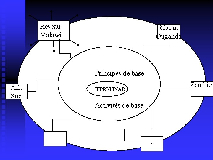 Réseau Malawi Réseau Ouganda Principes de base Common Activities Afr. Sud Zambie IFPRI/ISNAR Activités