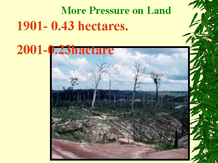 More Pressure on Land 1901 - 0. 43 hectares. 2001 -0. 23 hactare 