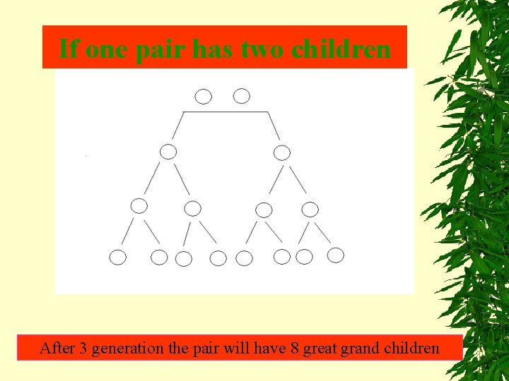 If one pair has two children After 3 generation the pair will have 8