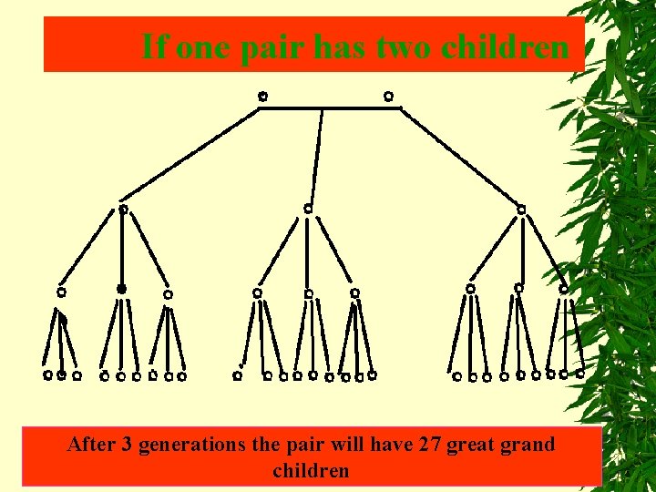 If one pair has two children After 3 generations the pair will have 27