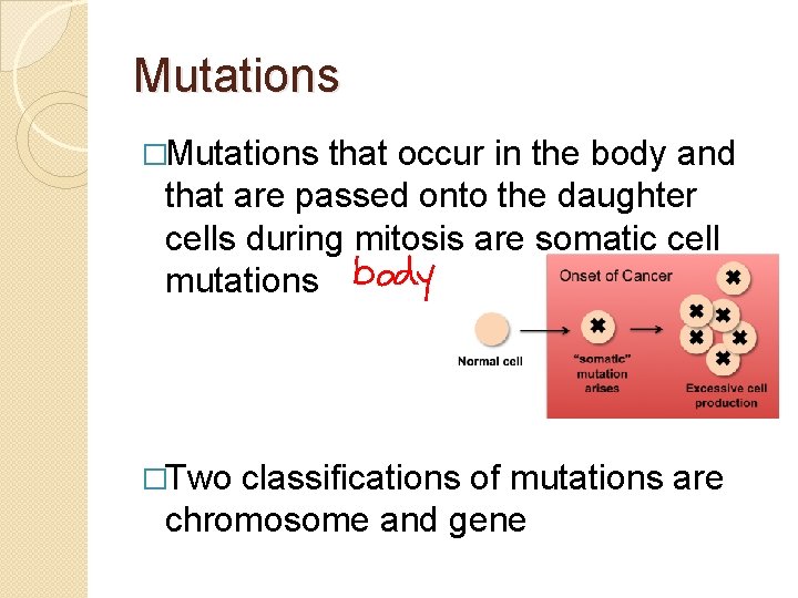 Mutations �Mutations that occur in the body and that are passed onto the daughter