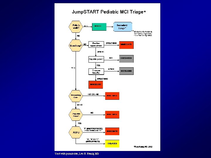 Used with permission, Lou E. Romig MD 