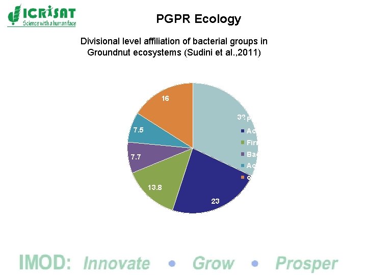 PGPR Ecology Divisional level affiliation of bacterial groups in Groundnut ecosystems (Sudini et al.