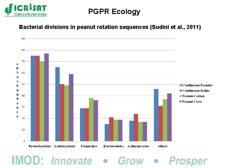 PGPR Ecology Bacterial divisions in peanut rotation sequences (Sudini et al. , 2011) 