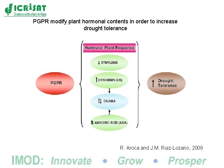 PGPR modify plant hormonal contents in order to increase drought tolerance R. Aroca and