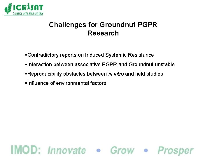 Challenges for Groundnut PGPR Research §Contradictory reports on Induced Systemic Resistance §Interaction between associative