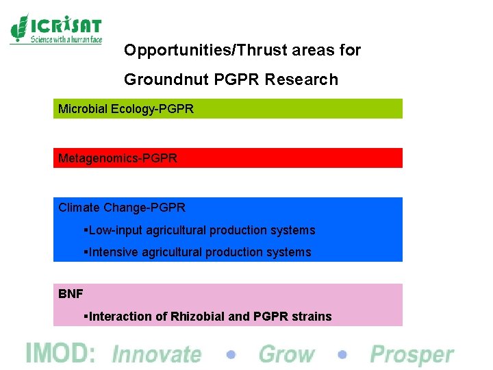 Opportunities/Thrust areas for Groundnut PGPR Research Microbial Ecology-PGPR Metagenomics-PGPR Climate Change-PGPR §Low-input agricultural production